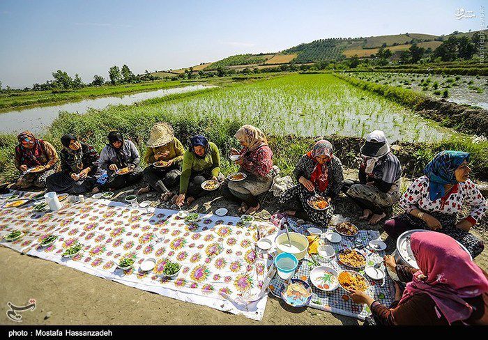 خودکفایی در تامین برنج